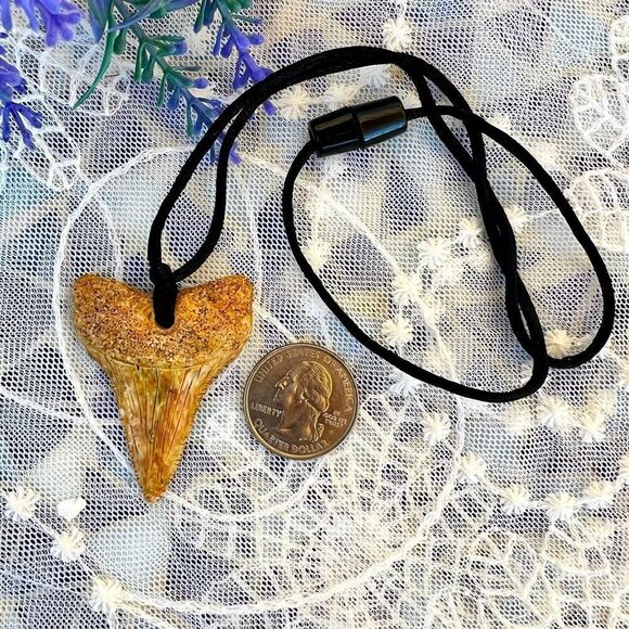 Shark’s Tooth Necklace - Picture 7 of 9